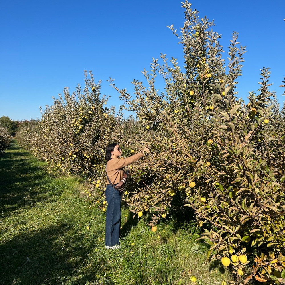 Meet your Posher, Andrea